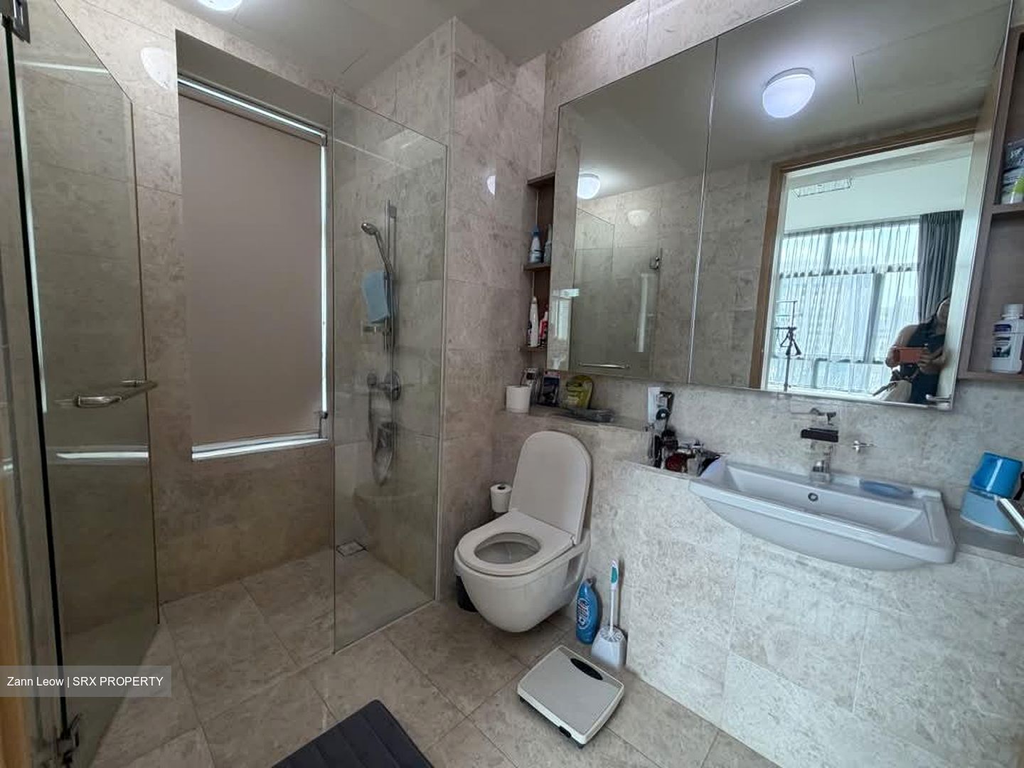 Soleil @ Sinaran (D11), Condominium #595076271